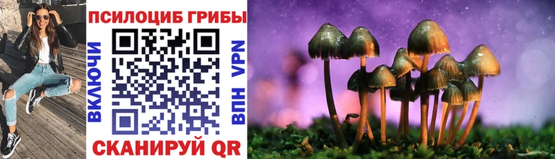 Купить Константиновск Псилоцибиновые грибы MAGIC MUSHROOMS